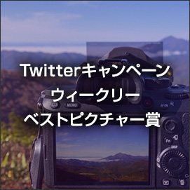 Twitterキャンペーンウィークリーベストピクチャー賞